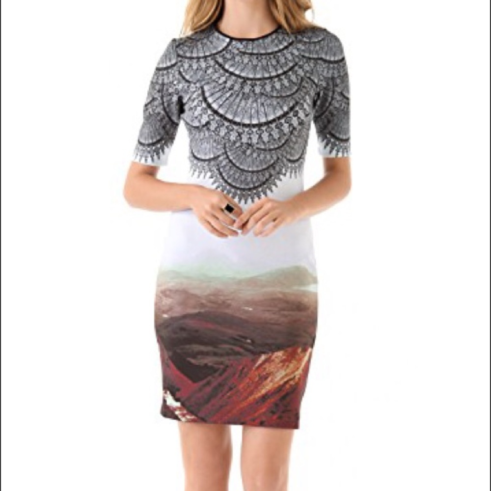 Clover Canyon Chantilly Landscape Dress